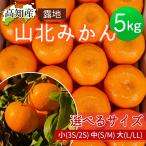  мандарин гора север мандарин Kochi производство примерно 5kg меласса .. земля мандарин 5 kilo маленький шар маленький шарик мандарин средний шар большой шар размер можно выбрать фрукты mi can для бытового использования прямая поставка от производителя бесплатная доставка Yamato отправка 