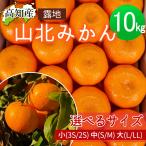 ショッピング果物 みかん 山北みかん 高知産 約10kg 蜜柑 露地 10キロ 小玉 小粒 みかん 中玉 大玉 サイズ 選べる 果物 ミカン 家庭用 産地直送 送料無料 ヤマト発送