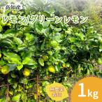  прямая поставка от производителя лимон производство прямой местного производства культивирование период средний нет пестициды зеленый лимон 1kg.. Kochi префектура производство no- воск . коррозия . защита от плесени . не использование синий лимон бесплатная доставка Yamato отправка 