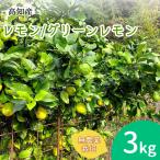  прямая поставка от производителя лимон производство прямой местного производства культивирование период средний нет пестициды зеленый лимон 3kg.. Kochi префектура производство no- воск . коррозия . защита от плесени . не использование синий лимон бесплатная доставка Yamato отправка 