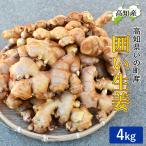 [ предварительный заказ ].. производство прямой сырой .4kg Kochi префектура производство местного производства имбирь сельское хозяйство дом прямая поставка Kariya сельское хозяйство . Kochi производство имбирь 4 kilo . сырой . Kochi сырой ... сырой . мытье сырой . приправа бесплатная доставка Yamato отправка 