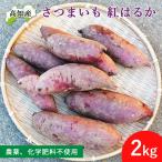 【予約】いの産直 さつま芋 紅はる