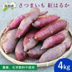 【予約】いの産直 さつま芋 紅はる
