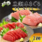  голубой тунец Kochi префектура большой месяц блок производство постное филе тунец средней жирности пробный комплект 3. неопределенный .книга@. Pro тонн .. обыкновенный тунец чёрный ... чёрный .книга@... большой месяц рефрижератор рейс бесплатная доставка Yamato отправка 