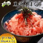  голубой тунец .. порез . Kochi префектура большой месяц блок производство 300g×4шт.@. Pro тонн ..... обыкновенный тунец чёрный ... чёрный .книга@... большой месяц рефрижератор рейс бесплатная доставка Yamato отправка 