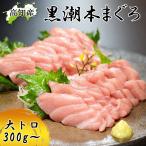  голубой тунец Kochi префектура большой месяц блок производство жирный тунец 300g(2 блок ) неопределенный .книга@. Pro тонн ..... обыкновенный тунец чёрный ... чёрный .книга@... большой месяц рефрижератор рейс бесплатная доставка Yamato отправка 