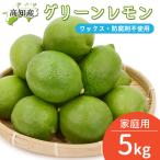  зеленый лимон 5kg лимон гора север производство .. прямая поставка от производителя Kochi префектура производство местного производства для бытового использования no- воск . коррозия . защита от плесени . не использование синий лимон бесплатная доставка Yamato отправка 