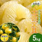 ショッピング文旦 【予約】文旦 土佐文旦 家庭用 Lサイズ 11〜13玉 5kg 宿毛文旦 産直 あおかぜ農園 宿毛 ぶんたん 宿毛市 産地直送 高知産 宿毛産 5キロ 送料無料