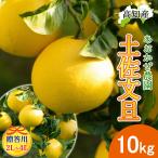 [ предварительный заказ ].. для помело земля . помело 2L~4L 10kg. шерсть помело производство прямой .... сельское хозяйство .. шерсть .... прямая поставка от производителя Kochi производство . шерсть производство 10 kilo бесплатная доставка 