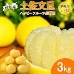 ショッピング文旦 【予約】文旦 土佐文旦 家庭用 3kg L〜3Lサイズ 5〜6玉 ハッピーフルーツ果樹園 宿毛 ぶんたん 宿毛市 産地直送 高知産 3キロ 果物 柑橘 送料無料