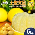 ショッピング文旦 【予約】文旦 土佐文旦 家庭用 5kg L〜3Lサイズ 9〜11玉 ハッピーフルーツ果樹園 宿毛 ぶんたん 宿毛市 産地直送 高知産 5キロ 果物 柑橘 送料無料