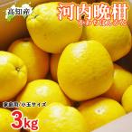  Narita прямая поставка Kawauchi ..... Chan 3kg S~M 9~12 шар Narita фруктовое дерево . Kawauchi .... Kochi производство Special производство мир производства грейпфрут прекрасный сырой . производство сельское хозяйство дом прямая поставка лето помело лето .. бесплатная доставка 