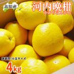 成田直送 河内晩柑 こ�