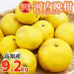  Kawauchi .... есть перевод Kochi префектура производство . шерсть Special производство Kawauchi ..9.2kg L~5L размер не комплект для бытового использования прекрасный сырой . производство сельское хозяйство дом прямая поставка лето помело ....ju-si- бесплатная доставка 