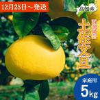 [ предварительный заказ / год внутри отправка возможно ] помело земля . помело для бытового использования 5kg L~4L размер смешивание 8~12 шар запад часть садоводство . шерсть помело производство прямой . шерсть город прямая поставка от производителя Kochi производство . шерсть производство 5 kilo бесплатная доставка 
