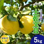 [ предварительный заказ ] помело земля . помело для бытового использования L~4L размер 7~13 шар 5kg земля . город производство прямой шар дерево сельское хозяйство .... внезапный . поверхность культивирование .... прямая поставка от производителя Kochi производство 5 kilo бесплатная доставка 