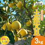 [ предварительный заказ ] помело земля . помело есть перевод 3kg L~3L размер смешивание 4~10 шар Yoshimura сельское хозяйство .. шерсть помело производство прямой . шерсть ..... шерсть город прямая поставка от производителя Kochi производство . шерсть производство 3 kilo бесплатная доставка 