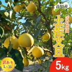 [ предварительный заказ ] помело земля . помело есть перевод 5kg L~3L размер смешивание 7~12 шар Yoshimura сельское хозяйство .. шерсть помело производство прямой . шерсть ..... шерсть город прямая поставка от производителя Kochi производство . шерсть производство 5 kilo бесплатная доставка 