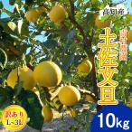 [ предварительный заказ ] помело земля . помело есть перевод 10kg L~3L размер смешивание 14~24 шар Yoshimura сельское хозяйство .. шерсть помело производство прямой . шерсть ..... шерсть город прямая поставка от производителя Kochi производство . шерсть производство 5 kilo бесплатная доставка 