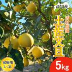 [ предварительный заказ ] помело земля . помело для бытового использования 5kg L~3L размер смешивание 7~12 шар Yoshimura сельское хозяйство .. шерсть помело производство прямой . шерсть ..... шерсть город прямая поставка от производителя Kochi производство . шерсть производство 5 kilo бесплатная доставка 