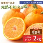 ショッピングデコポン 【予約】中島産 樹上完熟不知火 中島デコポン 2kg 贈答用 大玉サイズ 3L 中島みかん 産地直送 島みかん 柑橘 愛媛県 離島 希望の島産 防腐剤不使用 送料無料