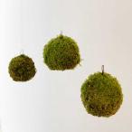  кокэдама ...... Moss мяч 3 комплект koke мяч ... подвешивание ниже кокэдама висячий MOSS BALL Moss мяч S M L размер довольно большой простой 
