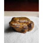 . распределение миниатюра лягушка чай ..... ландшафт мох террариум мох бонсай 