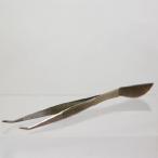 ステンレス製だから錆びにくい【ヘラ付ピンセット（曲）】 盆栽 ぼんさい