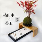  интерьер . ландшафт × кокэдама . ландшафт дракон дешево храм + юг небо кокэдама контейнер натуральный .. бамбук украшение шт. комплект миниатюра сад geo лама 