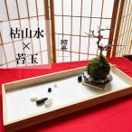 枯山水苔玉セット 枯山水 玉砂利 中サイズ  + 紅長寿梅 苔玉 チョウジュバイ ちょうじゅばい