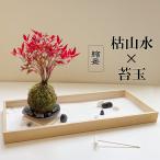 枯山水苔玉セット 枯山水 玉砂利 中サイズ  + 南天 苔玉 器 黒備前 ナンテン 縁起物 zengarden