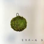 苔玉 盆栽 吊るしたり 置いたり ふんわり やさしい MOSS BALL モスボール 小サイズ S 約７〜８cm こけだま コケダマ