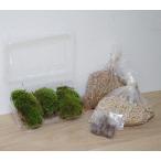  мини бонсай shohin bonsai .. изменение .. включая для земля горшок низ земля yamagoke удобрение комплект бонсай мох ..koke