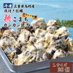 送料無料 冷凍 殻付き牡蠣 ブランド牡蠣 桃こまち カンカン焼き Lサイズ 20個入り (カキナイフ 片手用軍手 半缶 付き ) 三重県 伊勢志摩 鳥羽 桃取産