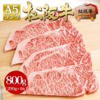 ステーキ肉 松阪牛 A5 サーロインス