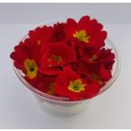 エディブルフラワー 食用 食べられるお花 ジュリアン レッド 人気 オススメ イメキャラブック