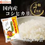 【精米】国内産コシヒカリ 10kg お米 令和7年産