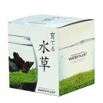 . новый керамика ... водоросли L примерно 18.2x16.5x16.4cm GD813