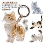 2 позиций комплект кошка. шерсть домашнее животное прозрачный . шерсть . шерсть inserting брелок для ключа кошка. шерсть место хранения бутылка прозрачный кошка type место хранения box место хранения домашнее животное домашнее животное .. мобильный держать .. шерсть .