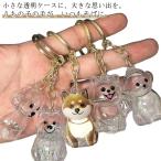  сохранение бутылка память прозрачный собака вид другой брелок для ключа собака собака шерсть животного модный memorial товары шерсть шар подарок аксессуары memorial бутылка переносной мысль 