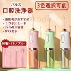 口腔洗浄器 USB充電式 歯磨き 口臭防止 高圧洗浄 歯石取り 携帯型 口腔洗浄機 ジェットウォッシャー 替えノズル プレゼント 口内洗浄機 母の日 ギフト