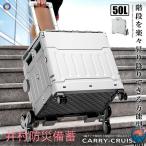  лестница ..... возможен Carry колесо Cruiser складной Cart L легкий тихий звук проект box контейнер кемпинг путешествие удобный долговечность легкий в использовании уличный 