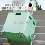  передвижная корзинка лестница складной легкий модный compact большая вместимость 75L выдерживаемая нагрузка 30kg 4 колесо устойчивость 3 колесо Caterpillar 