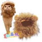  кошка лев. длина .. собака для лев костюм - кошка костюм лев толстый шерсть длина .. парик кошка собака party фотография контактный . костюмированная игра Xiaoxin