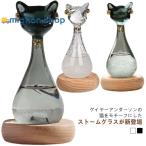 猫 ガラス ストームグラス 天気予報 飾り 気象計 猫の天気予報士 置物 オブジェ ねこの置物 結晶 季節 おしゃれ 北欧 天候予測器 猫の天気予報士