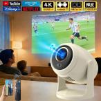  проектор потолок ..Android установка 4K соответствует автоматика шт. форма корректировка 270 раз вращение регулировка угла штатив не необходимо для бытового использования 5GWiFi6 Bluetooth5.2 смартфон подключение Netflix YouTube встроенный маленький размер 
