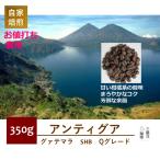 グァテマラ アンティグア メディナ農園 Qグレード 350g 自家焙煎 コーヒー豆