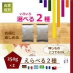 ショッピングコーヒー豆 自家焙煎 コーヒー豆 ２銘柄セット 500g(250g×２) 豆のまま