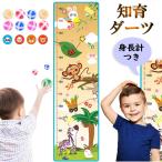 Yahoo! Yahoo!ショッピング(ヤフー ショッピング)完売 的当て ボール ダーツ 身長計 壁掛け 布 ボード セット 軽量 運動 室内遊び 子供 おもちゃ ターゲットゲーム ナンバー 粘着ボール 垂直跳び  20c21