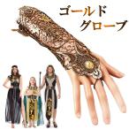 【メール便】グローブ アームカバー クレオパトラ エジプト コスチューム 衣裳  仮装 キラキラ 舞台 ステージ ショー ハロウィン cy1-pa